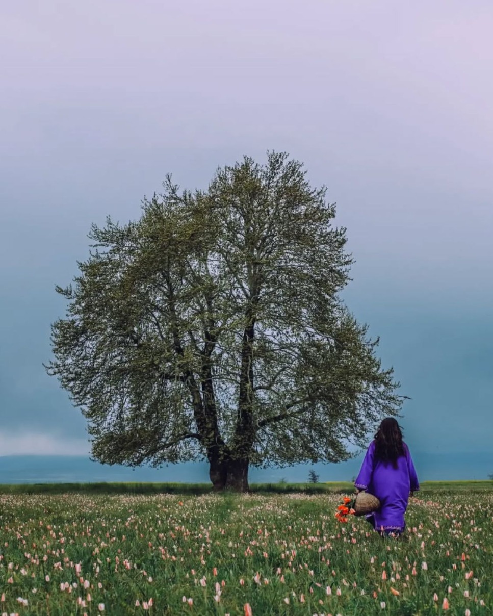 Image for Kashmir Package